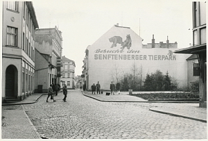 Senftenberg